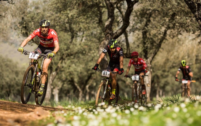 Ciclistas durante la Andalucía Bike Race 2019 en Andújar