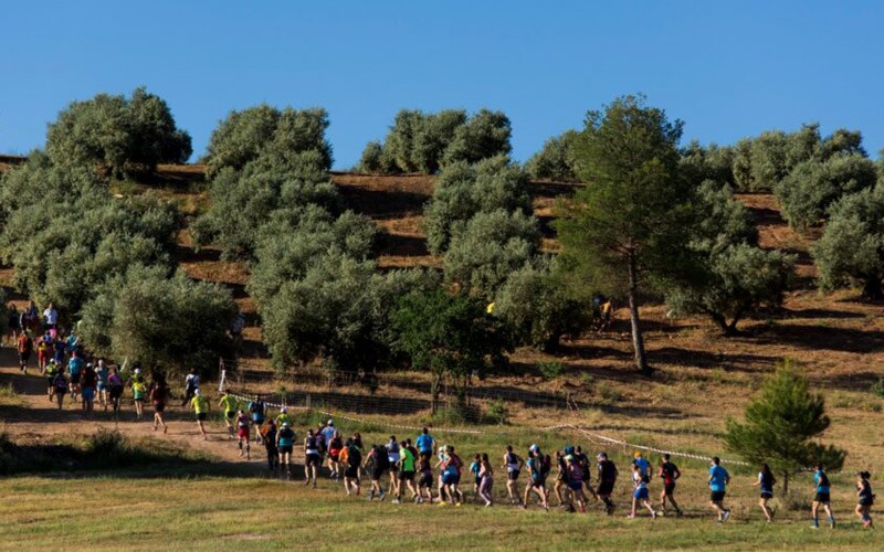 atletas participantes en el trail del fia el yelmo del pasado año