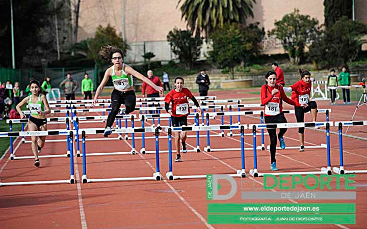 La Federación Andaluza de Atletismo pospone los campeonatos autonómicos