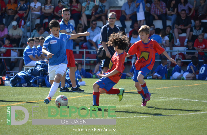 Alcaudete disfruta de las estrellas del fútbol base