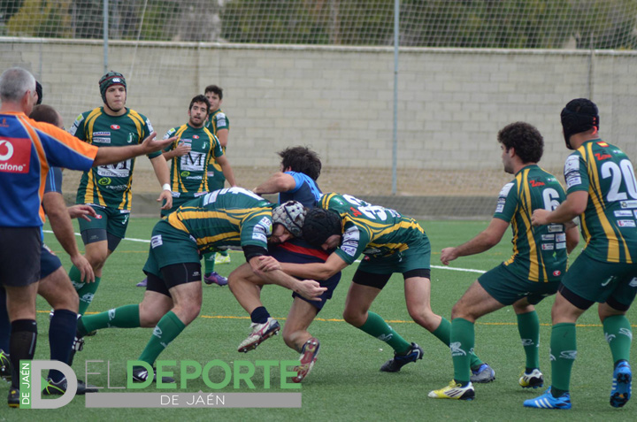 Importante victoria del Jaén Rugby