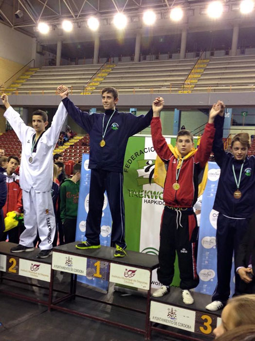 Los hermanos Jódar, plata y bronce en el Open de Andalucía de taekwondo
