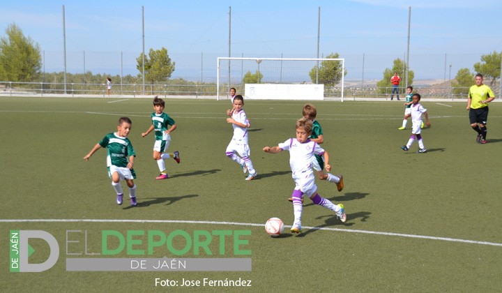 Positivo fin de semana para los chicos de las categorías inferiores del Real Jaén