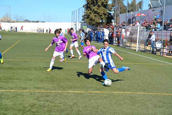 Jaén se despide del Campeonato de Andalucía infantil y cadete