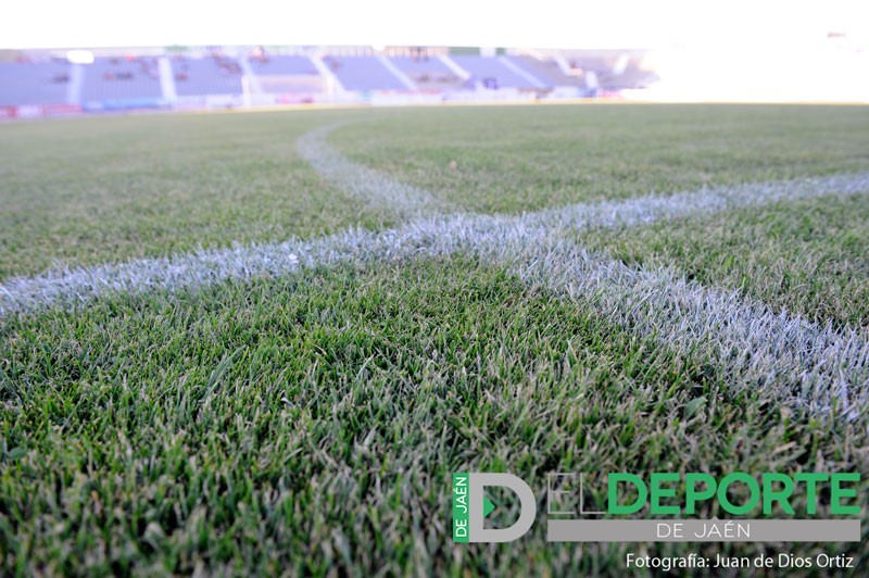 Los subgrupos de Primera y Segunda Andaluza se regirán por el criterio de cercanía