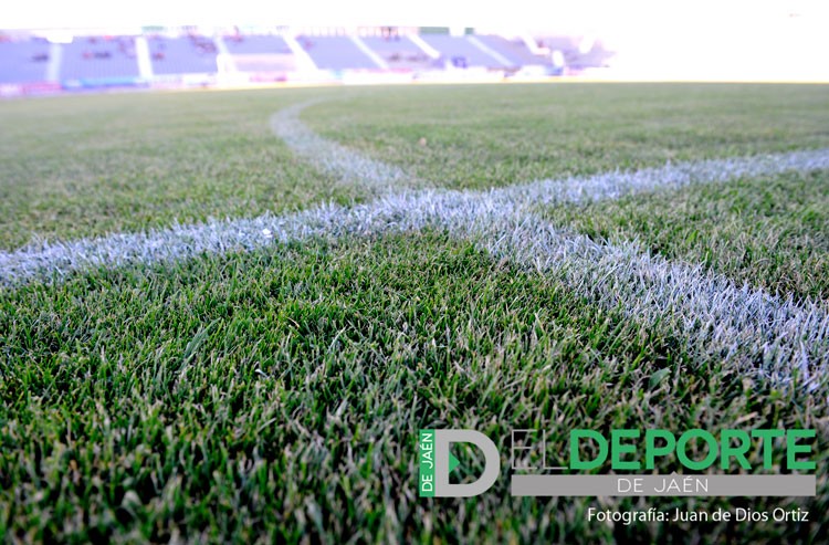 La FJF y los equipos femeninos de la provincia acuerdan el organigrama de la temporada 2015-16