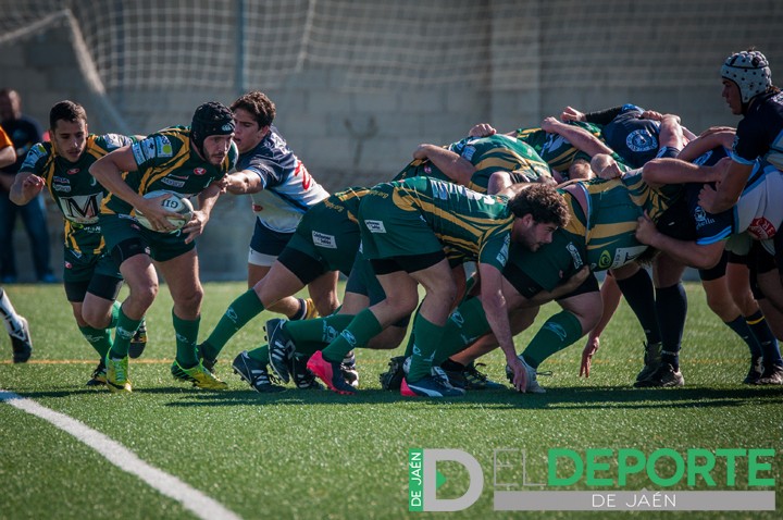 Importante victoria para Jaén Rugby