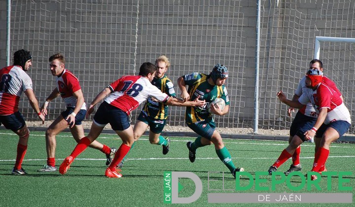 Jaén Rugby gana y se sitúa como segundo clasificado en solitario
