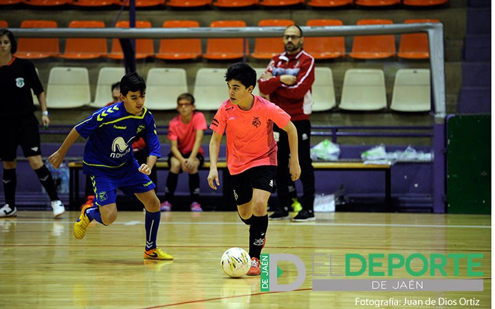 Los infantiles y los cadetes del Jaén FS e Inter disfrutaron de una tarde deportiva en La Salobreja