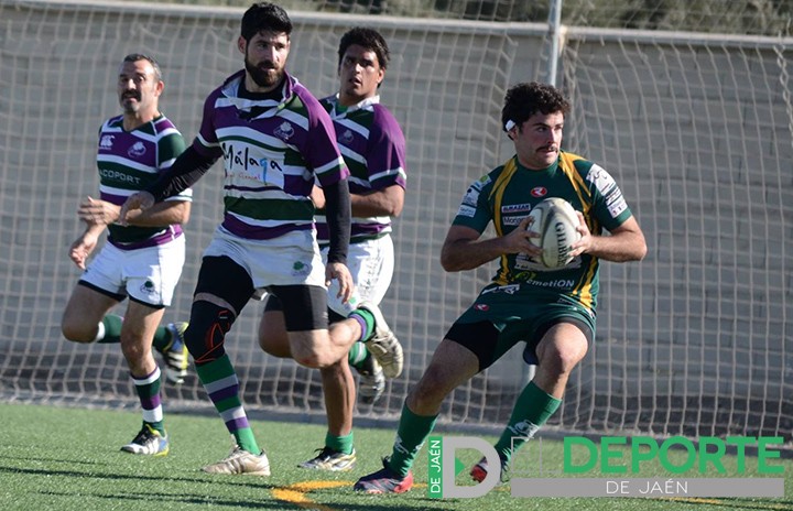 Jaén Rugby cae derrotado frente al Club de Rugby Málaga
