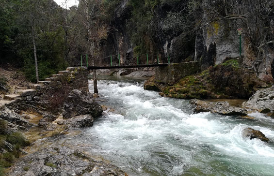 La ruta por la ribera del Río Borosa