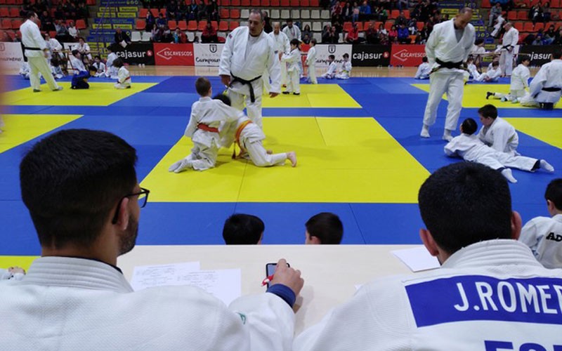 La Copa Diputación de Judo reunió a más  de 500 deportistas de toda la provincia