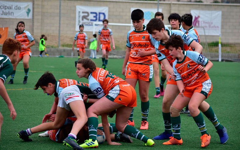 Resultados satisfactorios para los equipos de cantera del Jaén Rugby