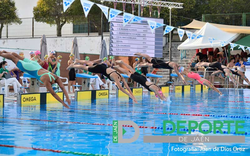 Primera jornada del Campeonato de Andalucía de Natación Absoluto y Junior (fotogalería)