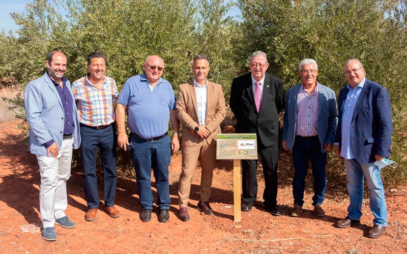 Las federaciones nacionales de tenis y natación se suman al proyecto de ‘El Aceite de la Vida’