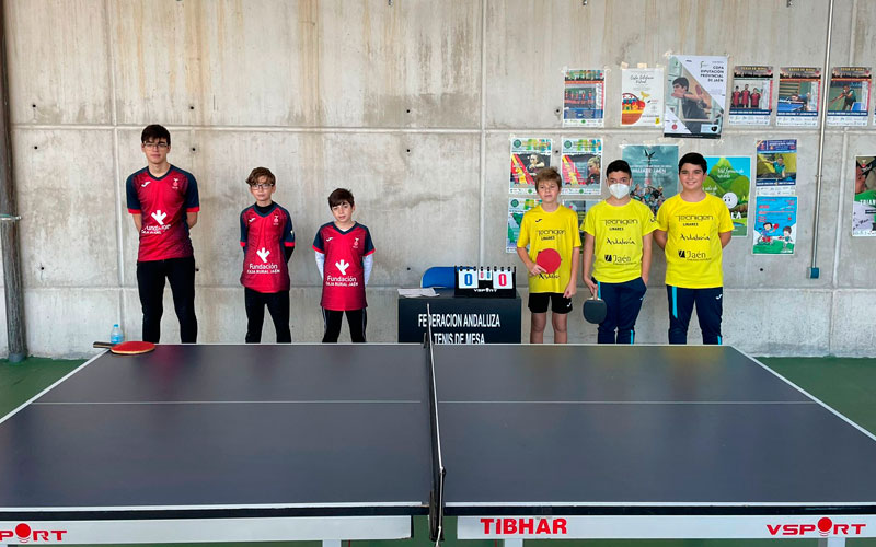 Jornada positiva para los equipos de Hujase Jaén en División de Honor Andaluza