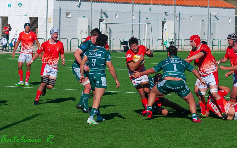 jaen rugby cr alcala division honor b