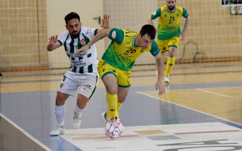 cordoba jaen fs