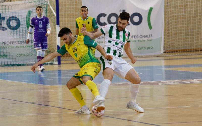 cordoba jaen fs