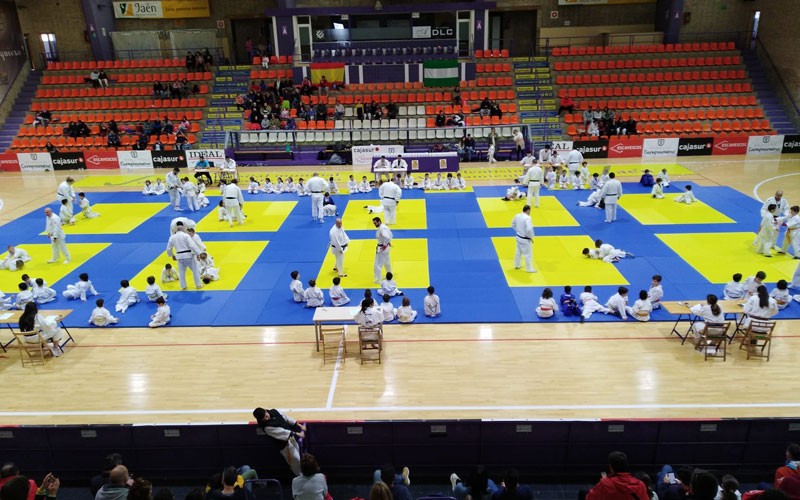 La segunda jornada de la Copa Diputación reunirá en La Salobreja a 400 yudocas