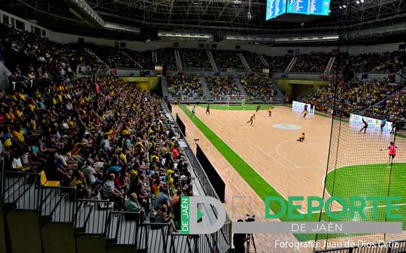 El Jaén FS participará en cinco comités de trabajo de la Primera División de fútbol sala