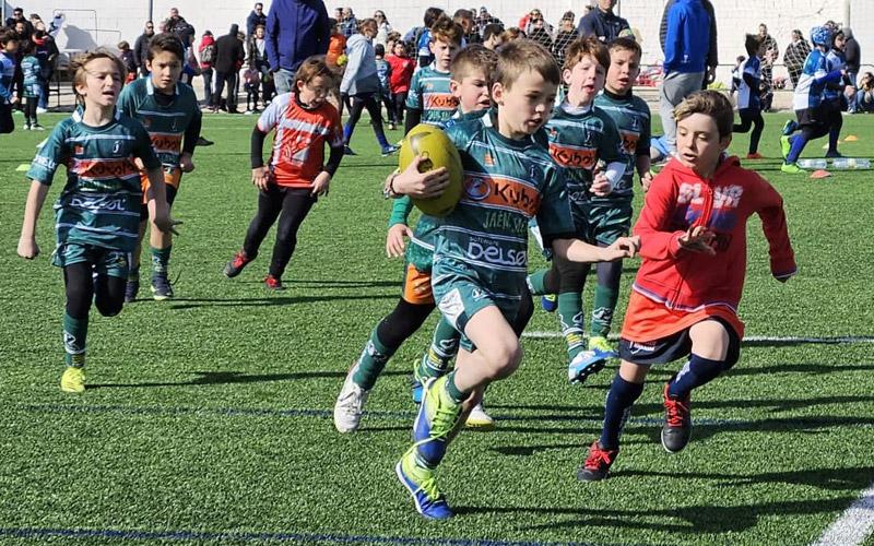 La 5ª Concentración de Rugby Gradual reunió en Jaén a 200 jugadores