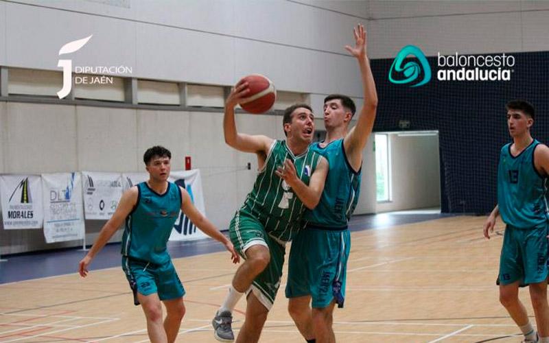 CAB Linares, Linabasket y Jaén CB buscan el título de la Copa Diputación Senior masculino