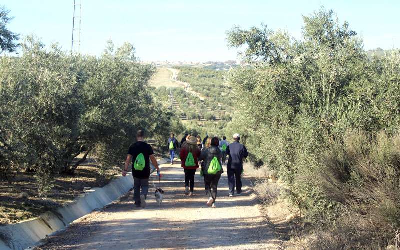 Úbeda y Baeza, conectadas con la ‘Senda de Antonio Machado’