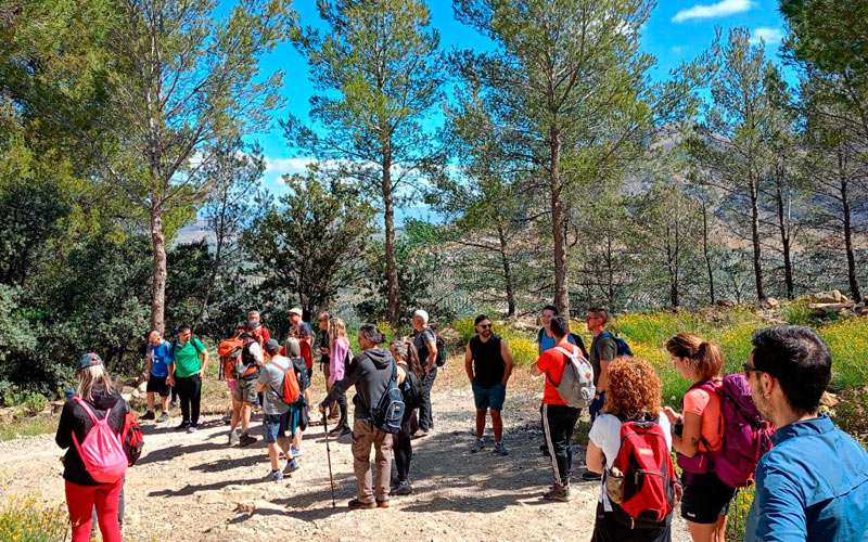 Una treintena de participantes disfruta de la ruta de senderismo ‘Las Viñas’