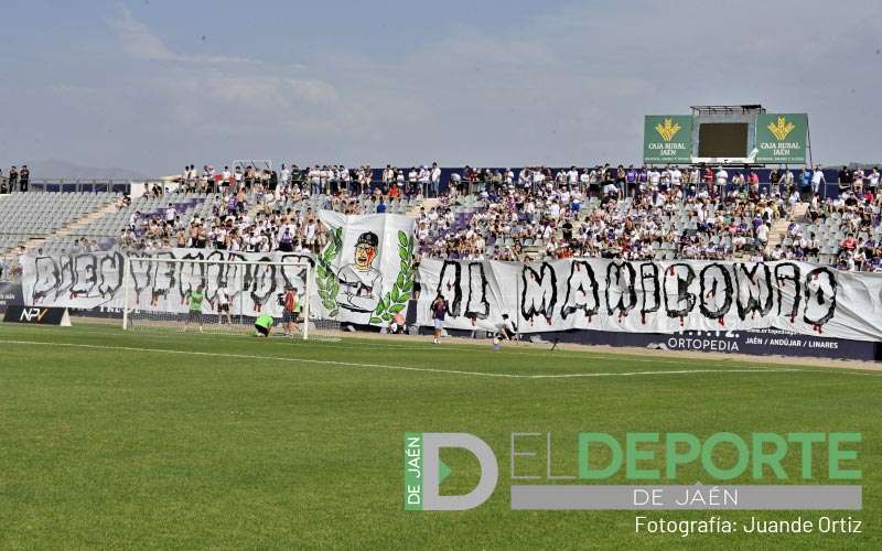 El Real Jaén reduce su deuda con Hacienda