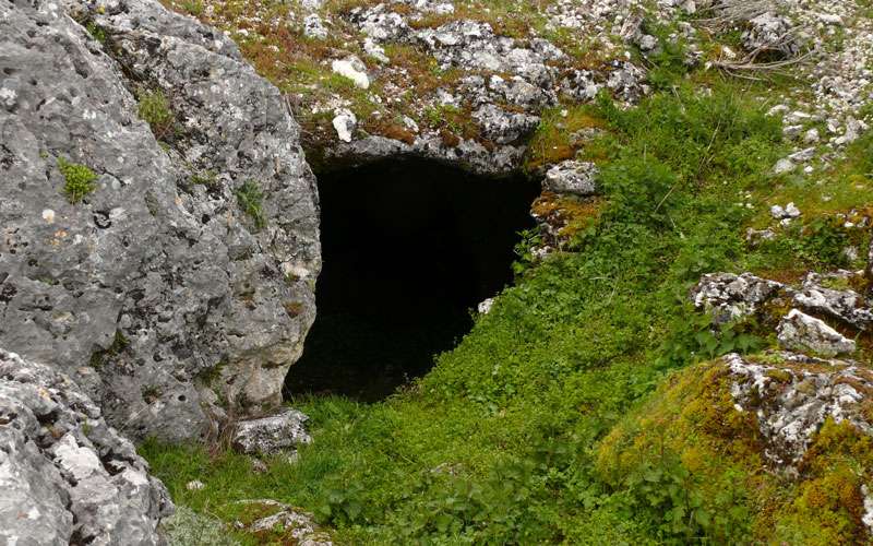 La Cueva del Jabalí es declarada como reserva entomológica