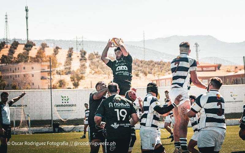 Jaén Rugby sucumbe en su visita al líder