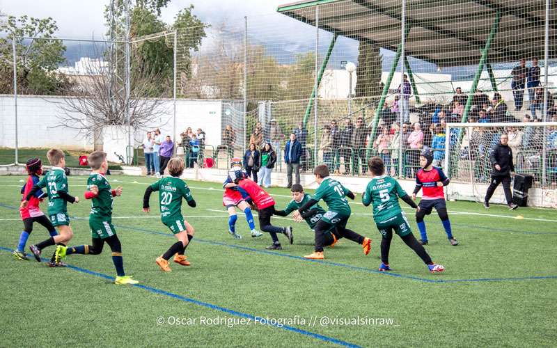 La VI Concentración de Rugby Gradual congregó a 360 menores en Jaén