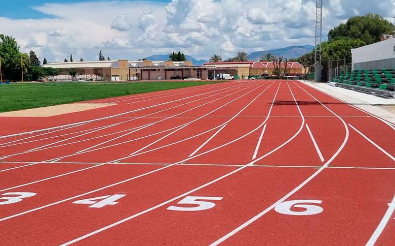 La élite del atletismo universitario nacional se cita en Jaén