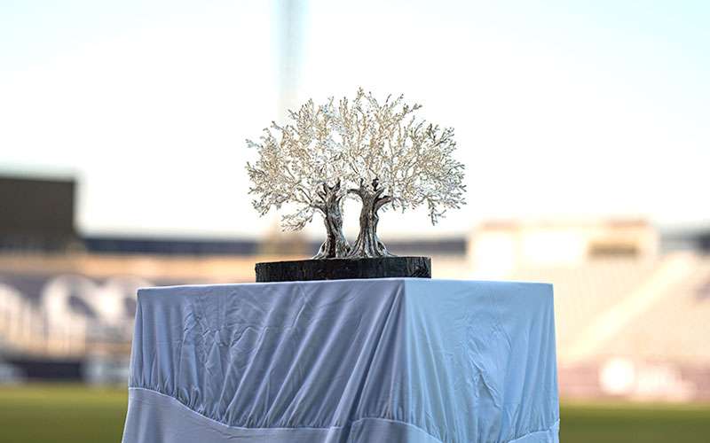 El Córdoba disputará el 42º Trofeo del Olivo