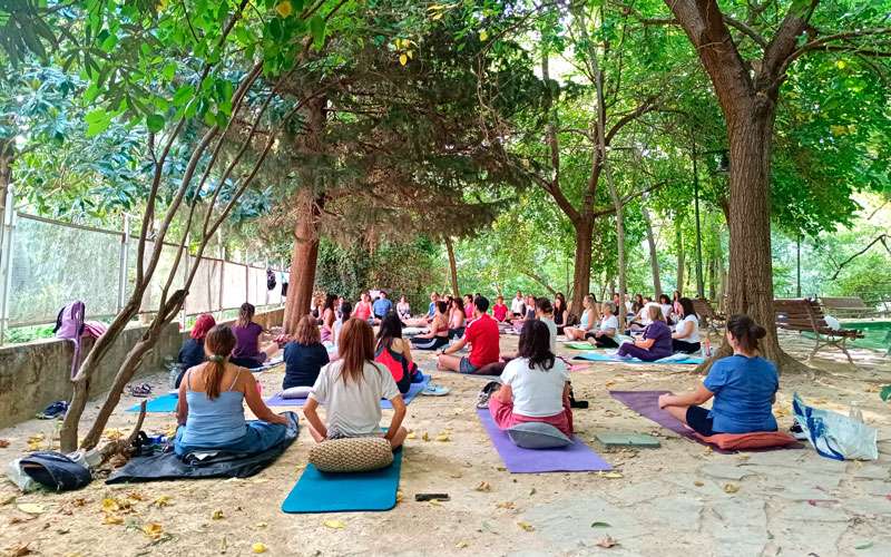 Todas las entradas cubiertas en el encuentro ‘Yin Yoga y mediación’